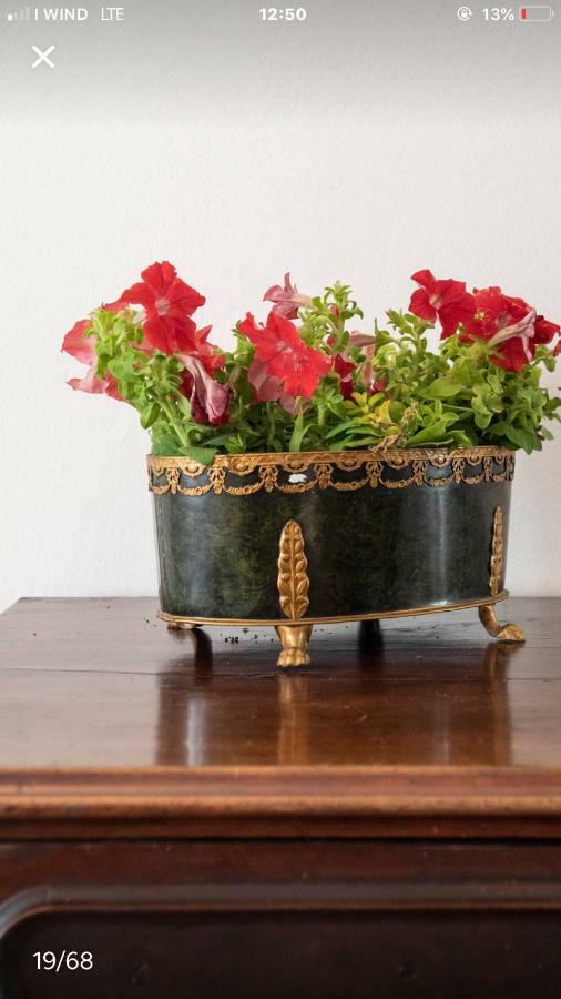 Il Tenore D'Oro Centralissimo Apartment Parma Ngoại thất bức ảnh